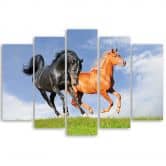 Leinwandbild 5 teilig, Pferde im Galopp 