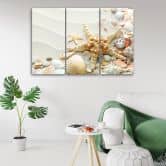 Leinwandbild 3-teilig, Seestern und Muscheln 