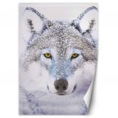 Fototapete, Porträt Wolfes im Winter 