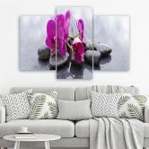 Leinwandbild 3-teilig, Orchidee Blumen Steine Lila 