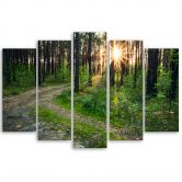 Leinwandbild 5 teilig, Wald Natur Straße Landschaft 