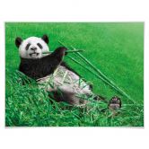 Poster Ben Heine - Glücklicher Panda 