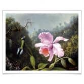Poster Heade - Stillleben mit Orchidee und Kolibris 