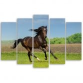 Leinwandbild 5 teilig, Pferd Galoppierende Wiese 