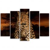 5-delige canvasprint Leopard Panther Cat Safari 