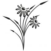 Wandtattoo Fidela 