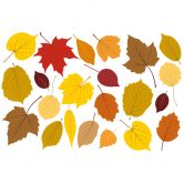 Wandtattoo Blätter Set Herbst 1 