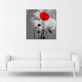 Leinwandbild, Mohnblumen Natur Pflanzen 