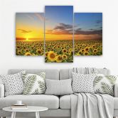 3-delige canvas print, zonnebloemen bloemenweide 