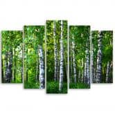 Leinwandbild 5 teilig, Birkenwald Grün 