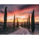 Wall Mural - Anton Tuscany - Sunset 