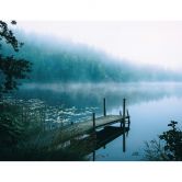 Fototapete - Lindsten - Moody Morning 