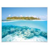 Poster Colombo - Unterwasserwelt der Malediven 