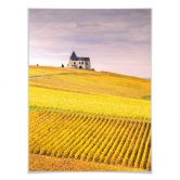 Poster Colombo - Weinfelder in der Champagne 