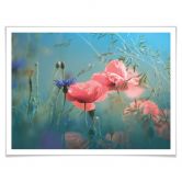 Poster Delgado - Wildblumen Aquamarin 