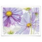 Poster Disher - Frozen Flowers 