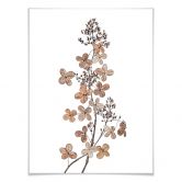 Poster Disher - Hortensie 