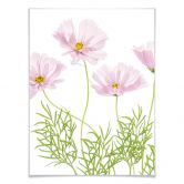 Poster Disher - Sommerblume 