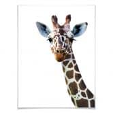 Poster Graves - Giraffe 