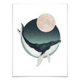 Poster Graves - Humpback 