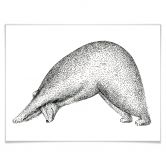 Poster Kvilis - Ours Yoga 01 