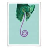 Poster Loose - Candy Chameleon 
