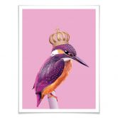 Poster Loose - Queenfisher 