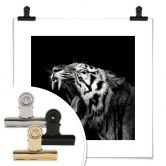 Poster Meermann - Der Tiger - quadratisch 
