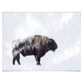 Poster Beáta - Der Bison 