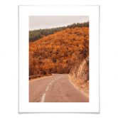 Poster L’automne dans la forêt 