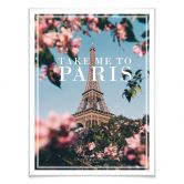 Poster - Take me to Paris 