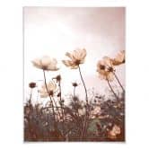 Poster Wilde Wiese 
