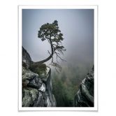 Poster Wonisch - Kräfte der Natur 