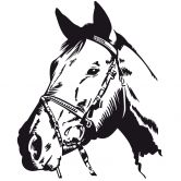 Sticker mural - Tête de Cheval 2 