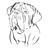 Wandtattoo Bordeaux Dogge 