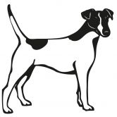 Wandtattoo Foxterrier 