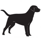 Wandtattoo Labrador 