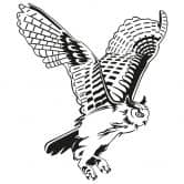 Wandtattoo Uhu im Flug 