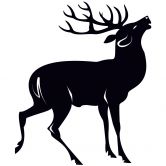 Wandtattoo Hirsch 01 
