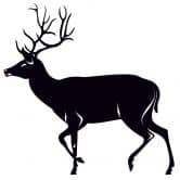 Wandtattoo Hirsch 03 