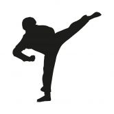 Kickbokser 