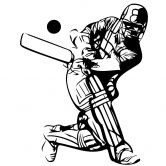 Wandtattoo Cricket 