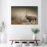 Leinwandbild, Hirsch in der Nebel Natur 