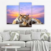 Leinwandbild 3-teilig, Tiger Wild Tiere 