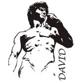 Wandtattoo David 
