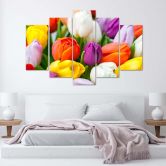 Leinwandbild 5 teilig, Bunte Tulpen Blumen 