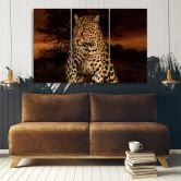 Leinwandbild 3-teilig, Leoparden-Katzen-Safari 