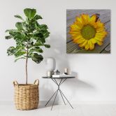 Leinwandbild, Gelbe Sonnenblume 