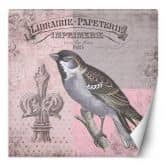 Fototapete, Vogel Natur auf rosa Hintergrund Shabby Chic - Andrea Haase 