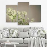 Leinwandbild 3-teilig, Feld Blumen Weiß 